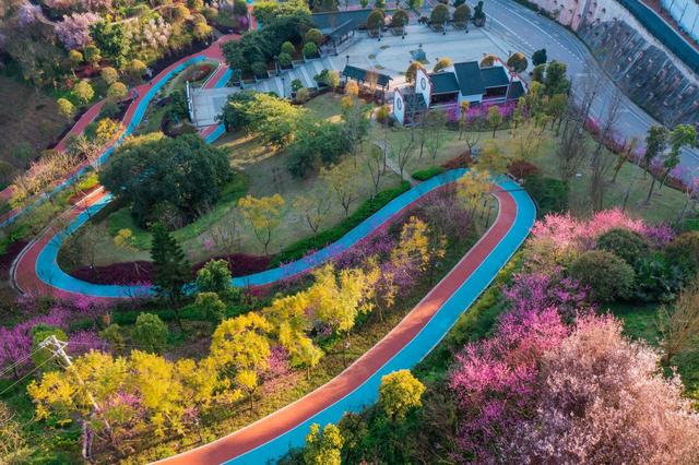 忠县：千年古城的文明之光