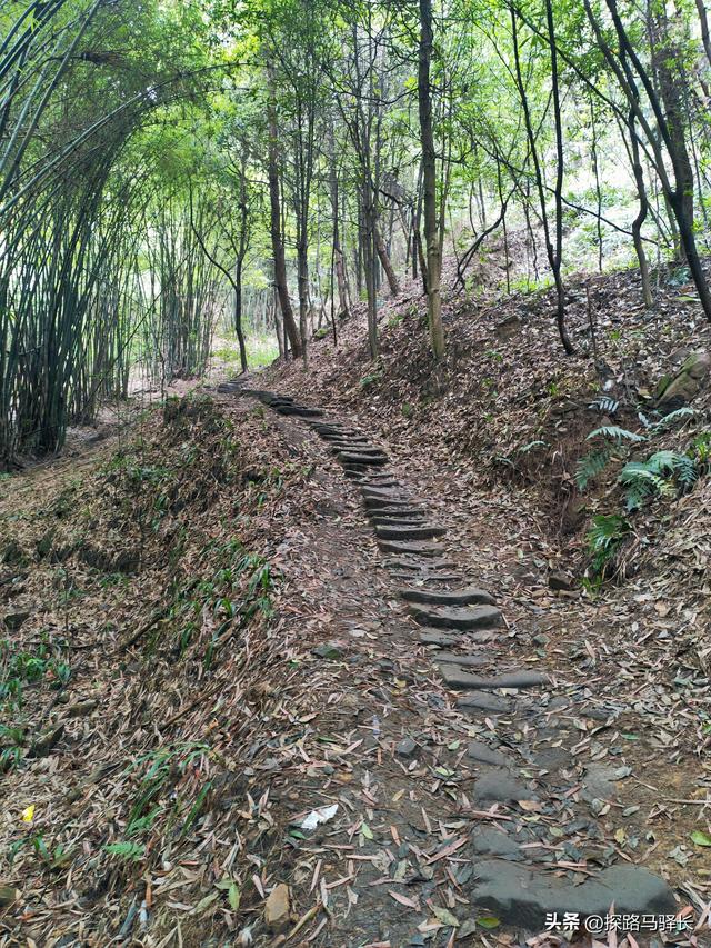 重庆主城藏了条“摆烂”步道：公交直达，轻松原始，就是有点费嘴