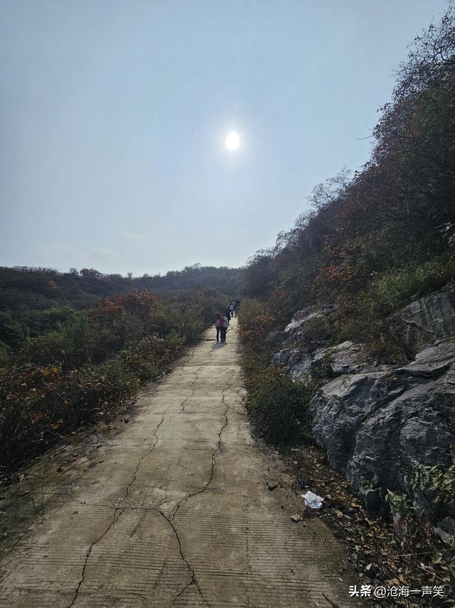 踏遍青山，风景独好，看万山红遍，层林尽染，请尽情欣赏吧