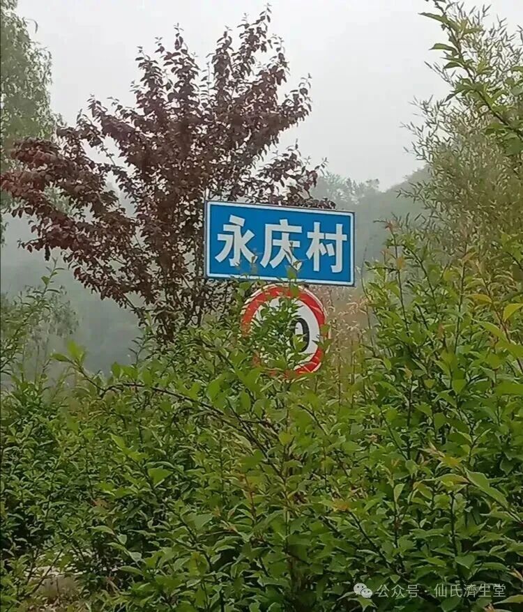 a67fac86735317eb7f736d212a7c3b18.jpg nEO_IMG_9.jpg