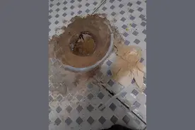 科勒马桶京东安装后漏水 老伯四处讨要说法无果图片