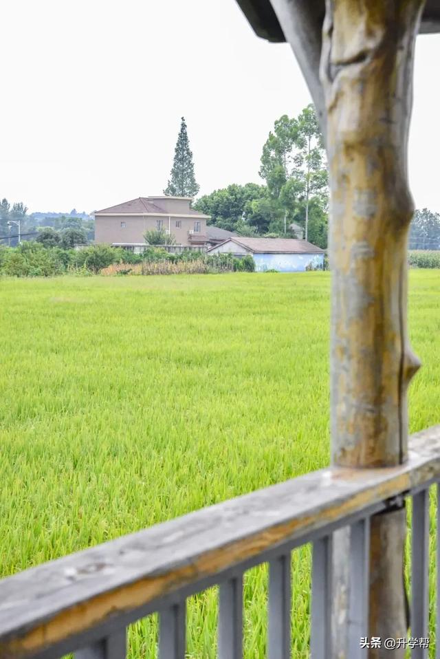 四川的秋！是令人心动的秋！