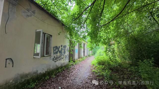 探秘重庆深山"鬼堡"，奢华废墟中暗藏玄机，背后真相到底是什么？