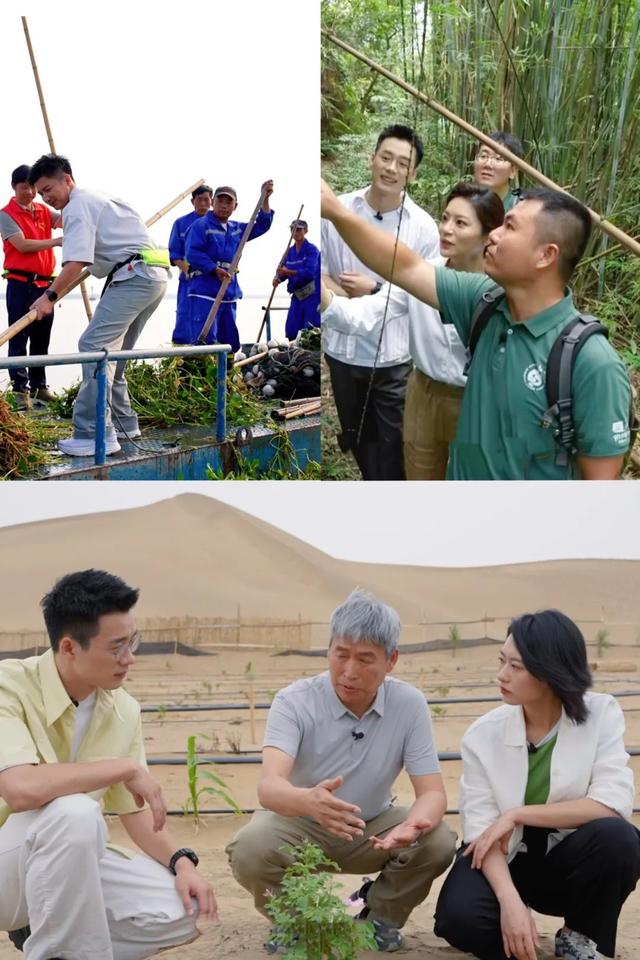 生态中国 | 中国正在绘就一部壮美的生态画卷