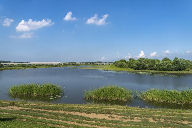 辽宁沈阳：一处“滩地、岸边、水面”三位一体的湿地景观