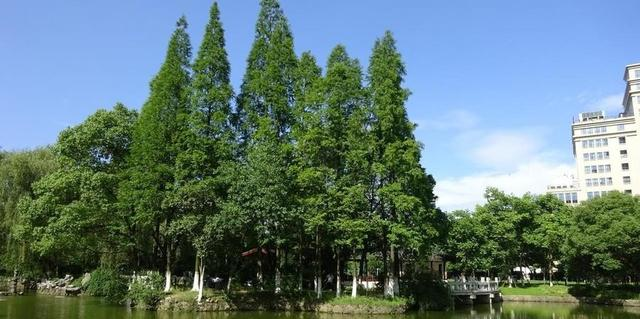 大连又一公园火了！被誉为大连冬季天花板，徒步、赏景两不误！