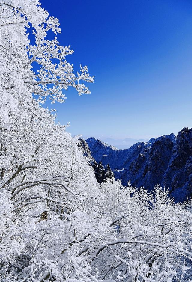 黄山雾凇正“开挂”！这份观赏攻略直接抄