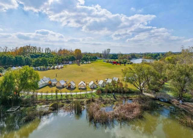 稻 花 香 里 看 雨 花