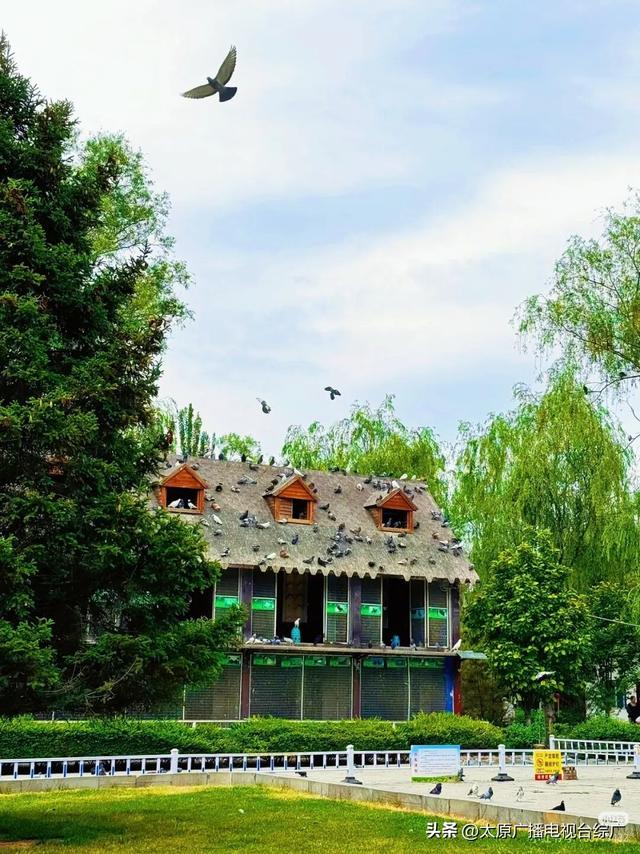 遇见·尖草坪丨不费家长、专治无聊，尖草坪这些地方娃娃们都玩疯了~