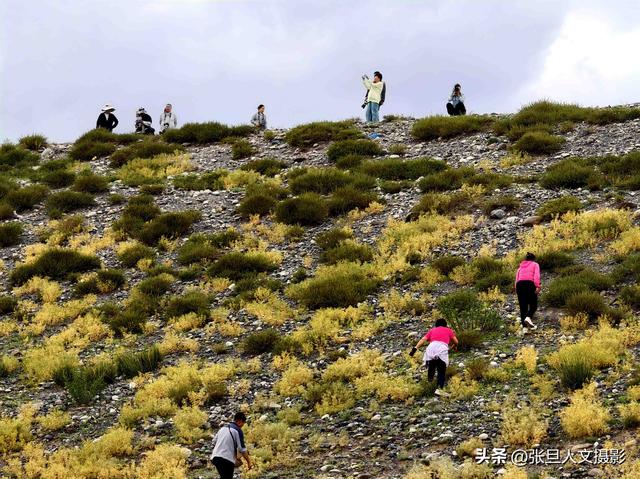 跟着张旦行摄中国-新疆篇 拍摄安集海大峡谷 赞美大自然的鬼斧神工