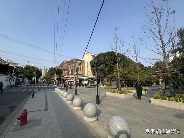 紧临外滩、豫园！居民游客都来打卡这片24小时不打烊的“森空间”：实在太美了！