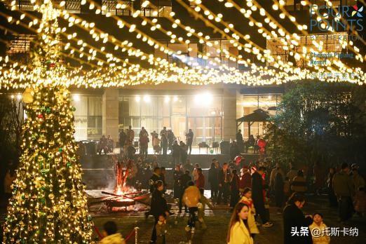 “爪爪心愿·暖冬童话夜”圣诞亮灯温情启幕萌宠与爱共绘冬日美好