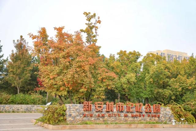 高清大图！石景山第一波儿秋色袭来——