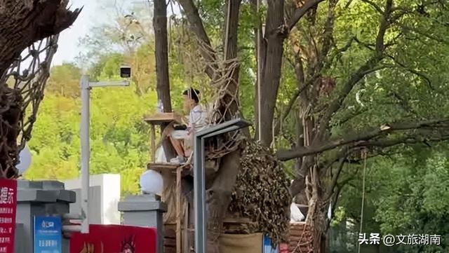 “洞票”、“鸟巢”观景台……湘超又整活了