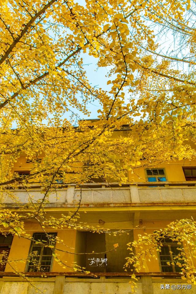 武汉出发！高铁3.5h直达！用3天时间解锁一座小众宝藏城市