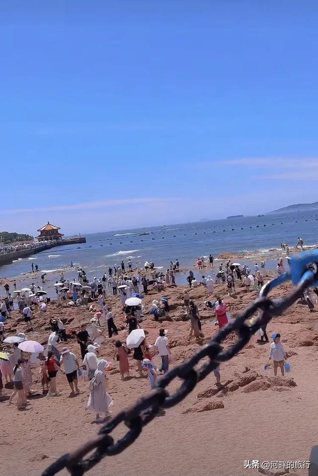 青岛栈桥 夏天来玩的人多