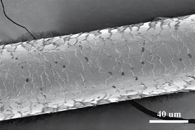 核堆芯“黑盒”终破解！100纳米传感器扛住高温强辐射！