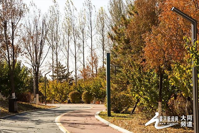 黄花公园秋意深 游客笑语映秋云