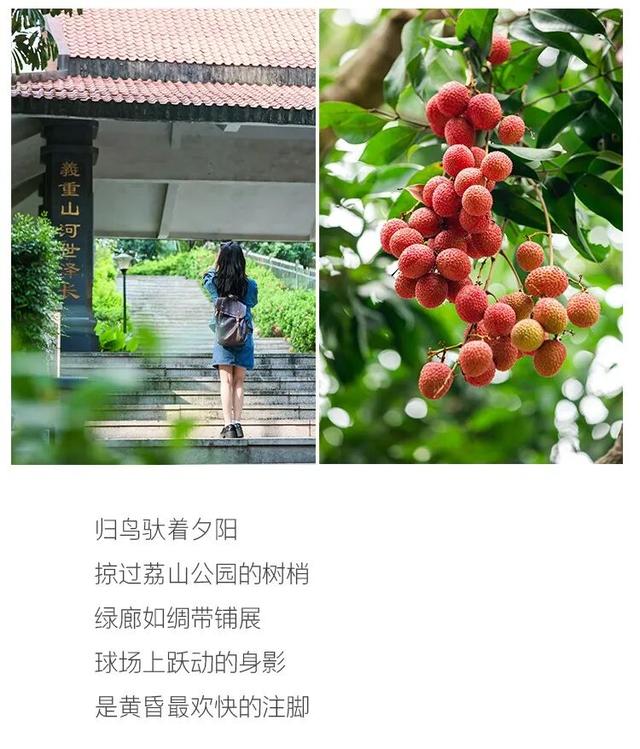 “趣龙岗”打卡新地标！全城玩咖速集结→