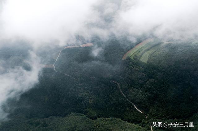 北山嵯峨