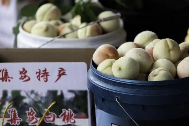 集“线”打卡！“错过集安的秋季，我将无法原谅自己”