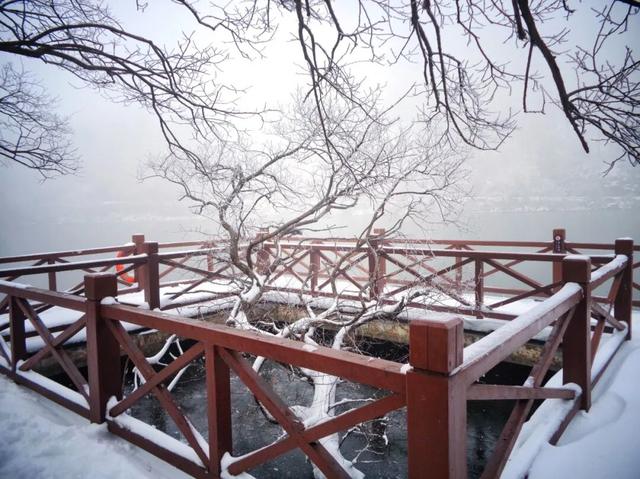 又来？这样的随州，你见没见过？