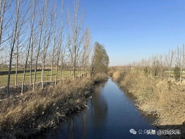 冠县乡韵·贾镇洼里村