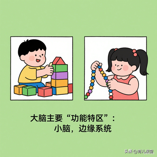 解锁宝宝 “最强大脑”！这些小游戏，悄悄让大脑协作力爆表