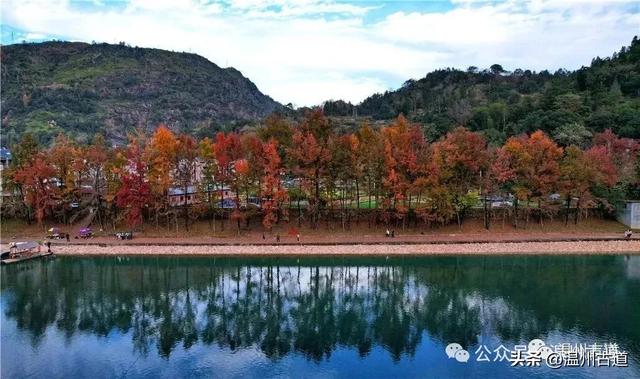 收好这份温州《红枫古道地图》，挑个好天气出门走走！