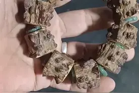 花椒木一种自带麻辣鲜香的植物，做串串也很精美，提神醒脑图片