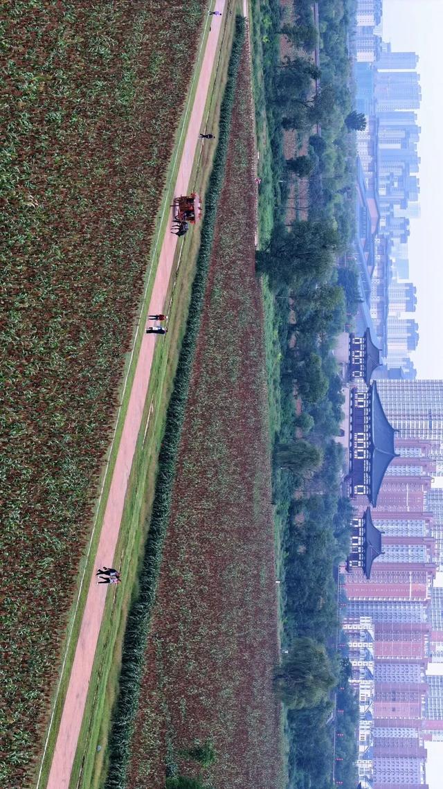 河南秋景大片，来了！