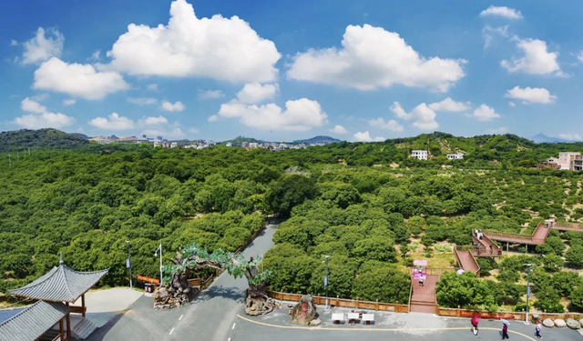 广东这两处宝藏地凭啥火出圈？下一个爆款打卡点竟是高州！