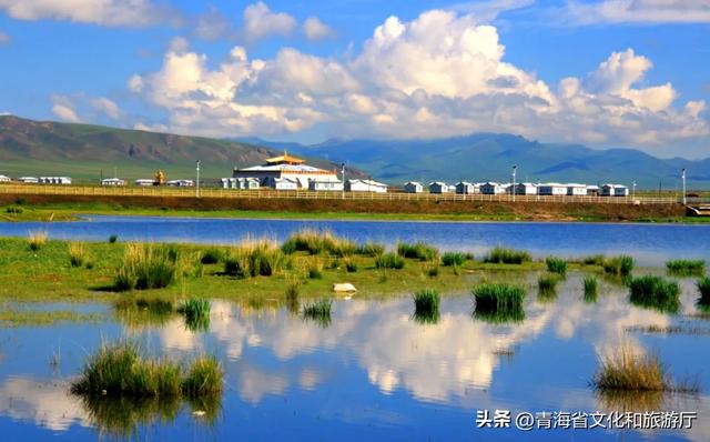 旅途手记：写给大西北的情书——总得来一趟大西北呀