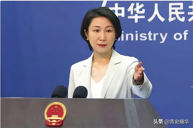 见完莫迪一面后，中方专机并未飞回北京，立马改道去了巴基斯坦