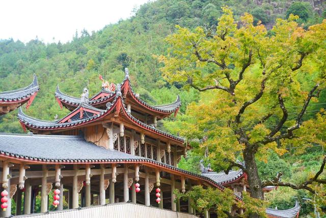 盘点我去过浙江泰顺的五个绝美地，比国外还美，知道的游客却很少