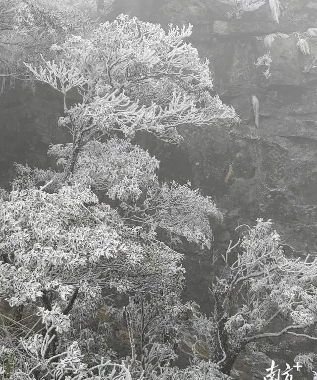 历年罕见！广东迎来冰雪奇景，网友表示颠覆认知