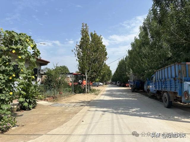 冠县乡韵·定远寨镇前杏园村