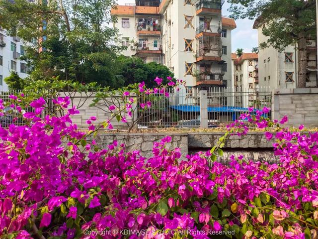 深圳这条街,曾经挤破头都难进入,现在扫码就进却为何没人去了?