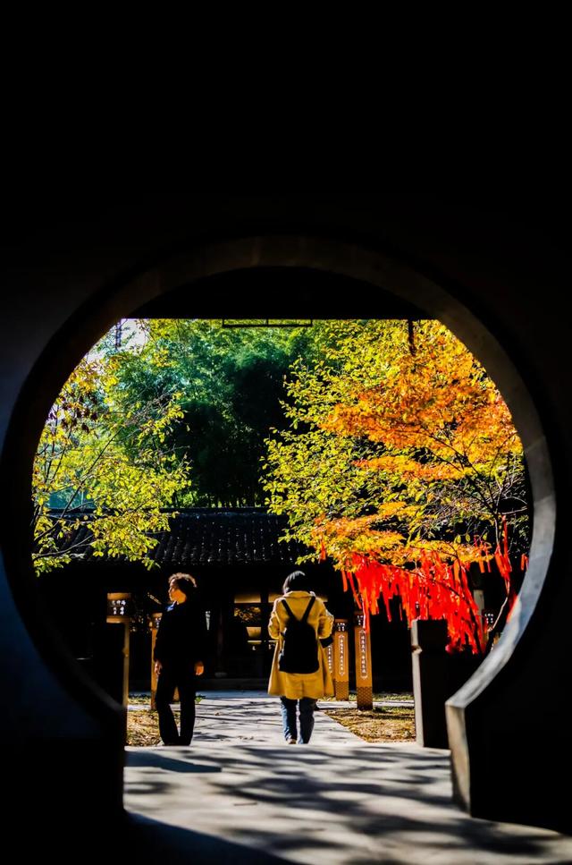 枫叶不输北国，园林比故宫浪漫！这座城市私藏了江南的所有秋天