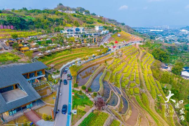 春天来了,你也该来一趟大渡口啦!