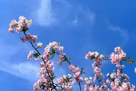 夫妻之间，有这几种迹象，意味着缘尽了，别强求图片