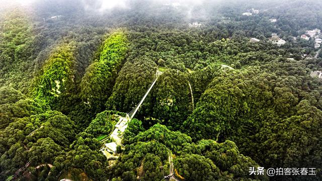 记四川雅安碧峰景色