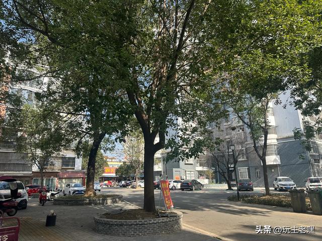 文峰园漫记21，过冬