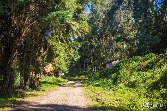 探秘云南巍山“鸟道雄关”,没想到它竟然是世界上最早的相关古迹