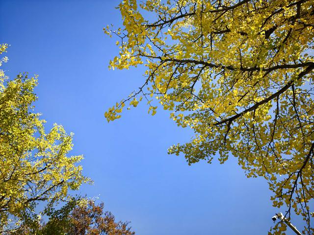 徒步八都岕黄金大道