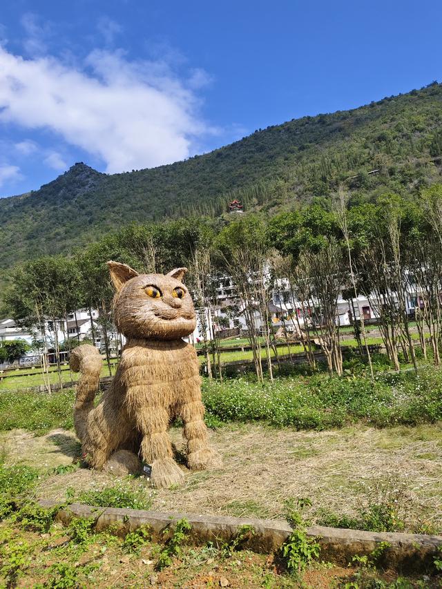 南行漫记：游兴文万峰林的攻略，万峰林是美的