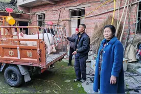 比被盗前还胖了100斤！村民家两头猪被偷，3个月后被民警找回来了图片
