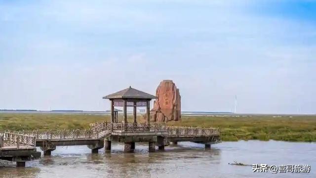 探秘北国瑰宝：鸡西东方红湿地旅游区全攻略