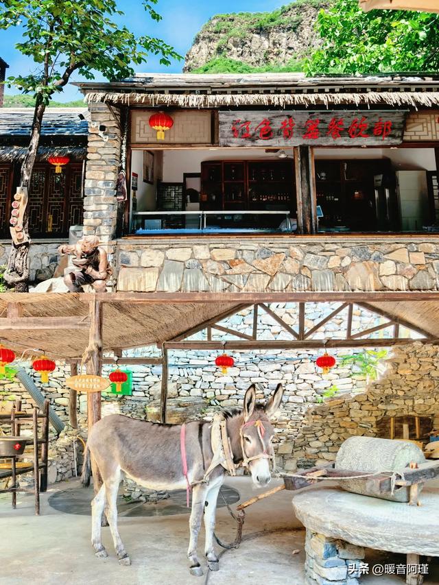 坡峰岭×药师寺:山林与禅意的完美周末
