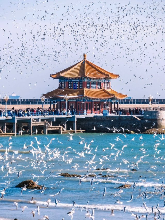 循着光的方向游市南，这三条旅游路线，真的不要太好逛！
